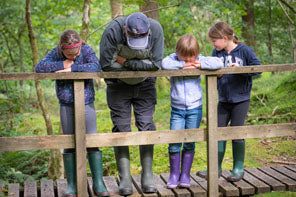 Best woodland walks in warm wellies