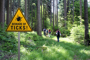 Tick Alert - what to spot