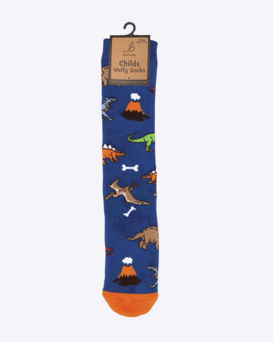 Childs Welly Socks - Little Dinosaurs